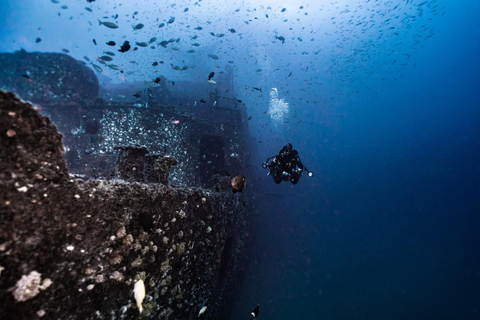 Sunshine Coast: Tauchgang im Schiffswrack der Ex-HMAS Brisbane