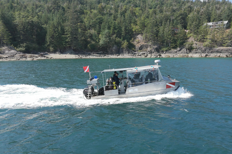 Vancouver: Howe Sound Wildlife and Scenery Boat Tour