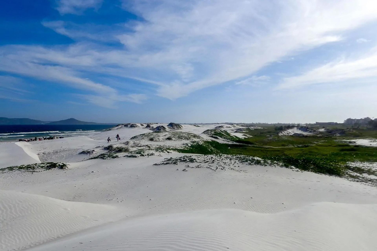 Seaside Cabo Frio: Private City Tour and Natural Paradises