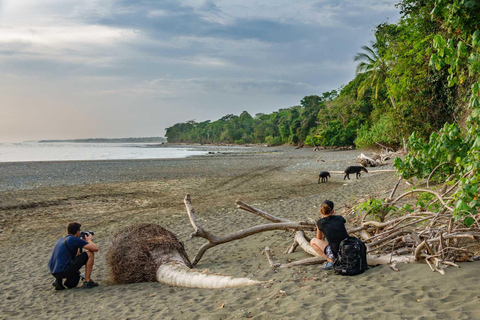 Parque Nacional do Corcovado: Dois dias de selva e animais