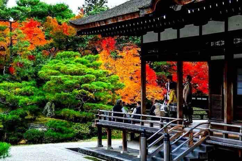 Kyoto: Private Full-Day Tour with Driver & Custom Itinerary