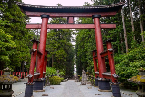 From Tokyo: Private Mount Fuji Day Trip with Driver