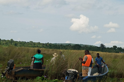 From Kampala: Mabamba Swamp Birding Half-Day Tour From Kampala: Mabamba Swamp Birding Day Tour