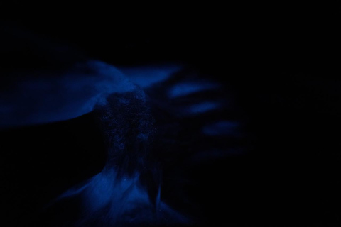 Fajardo: Bioluminescent Bay Kayak Tour in Puerto Rico