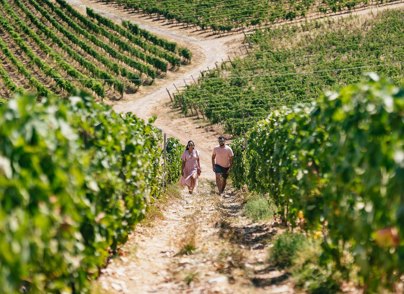 Fra Firenze: Vinsmagningstur i lille gruppe til Toscana