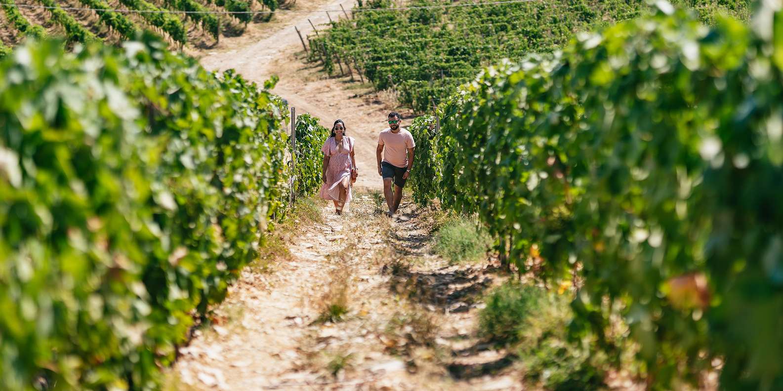 From Florence: Small Group Wine Tasting Tour to Tuscany