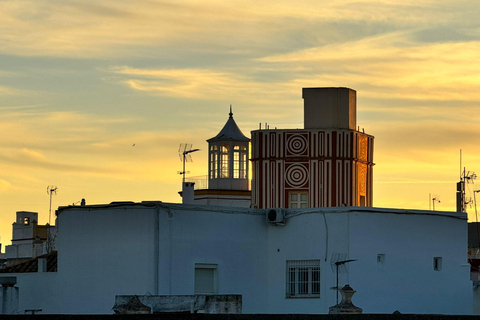 Cádiz from a Seagull's view:A tour among Rooftops and Towers