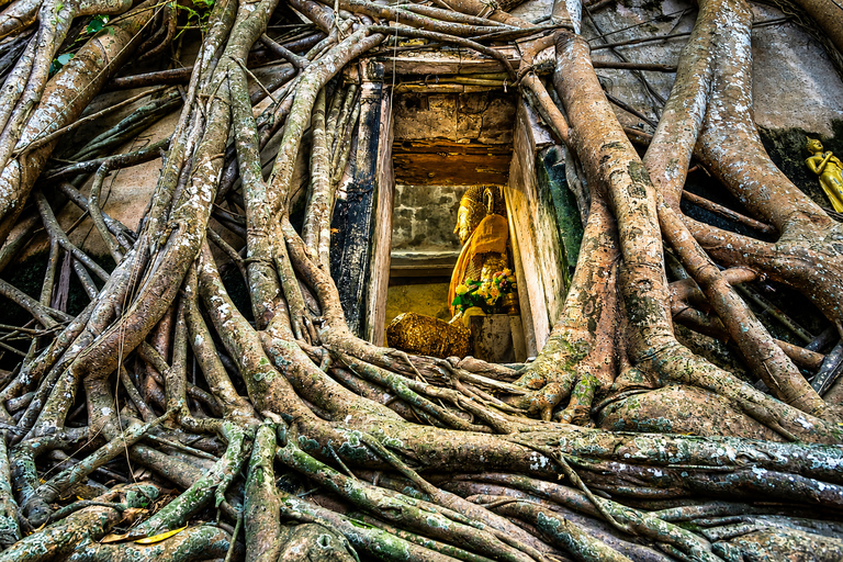 Private: Railway Market, Wat Bang Kung & Klong Khon Tour