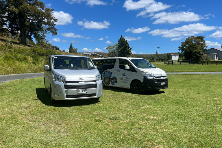 Desde Paihia: tour guiado a las cuevas de luciérnagas de Kawiti