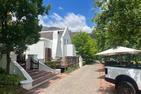 Kapsztad: gepard, spotkanie z żyrafą i wycieczka winiarskaKapsztad: wyprawa z gepardem, spotkanie z żyrafą i wycieczka winiarska