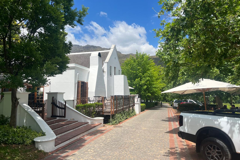 Kapsztad: gepard, spotkanie z żyrafą i wycieczka winiarskaKapsztad: wyprawa z gepardem, spotkanie z żyrafą i wycieczka winiarska