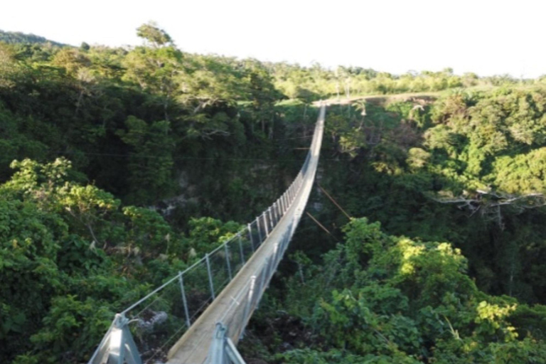 Vanuatu: Sky Bridge, Coffee Factory, & Mele Cascades Tour