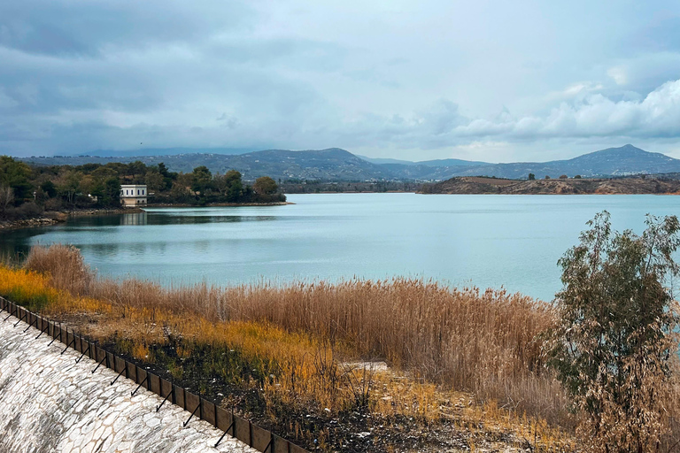 Athens: Marathon Lake, Museum, and Shinias Beach Day Trip