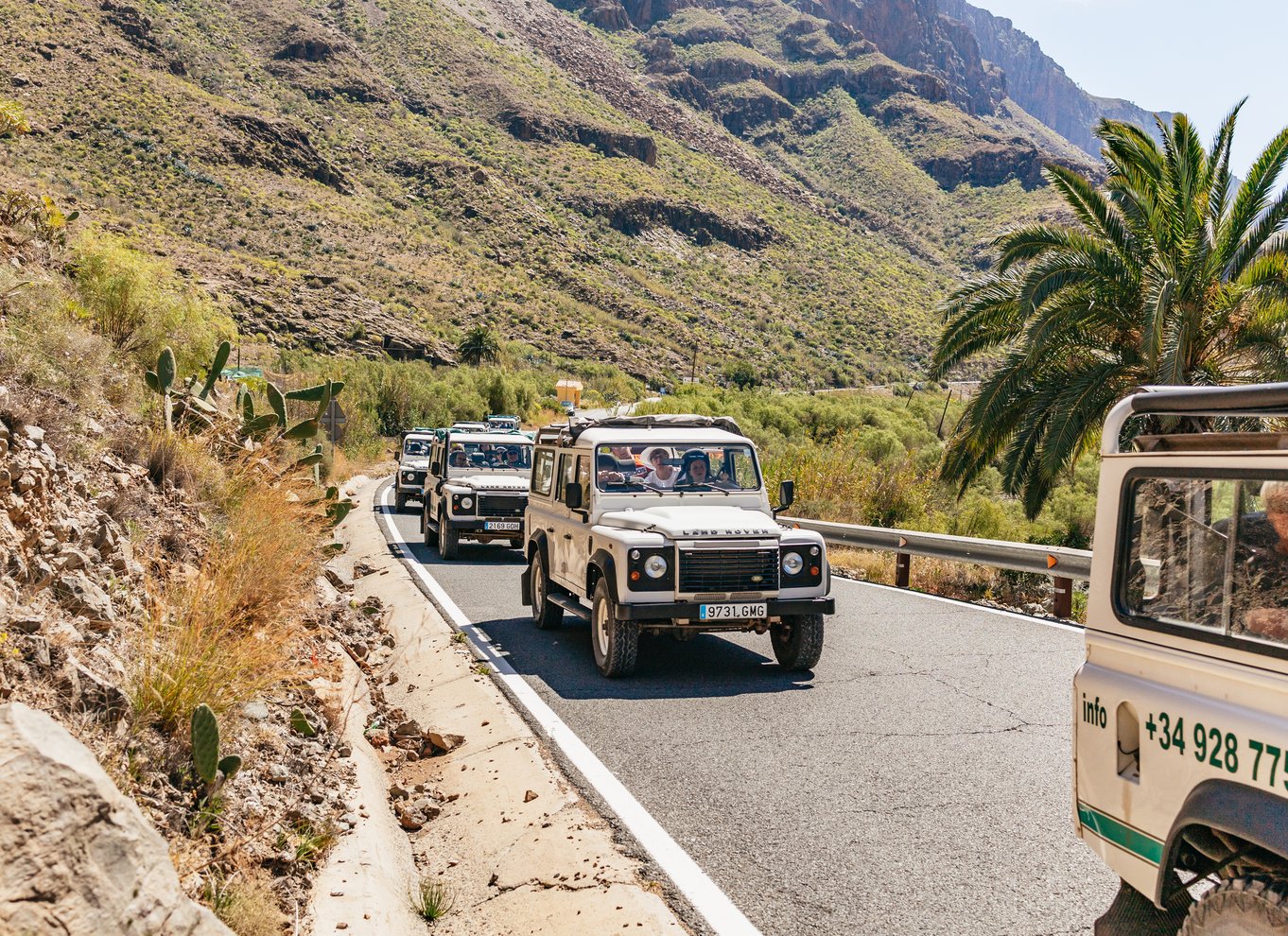 Sydlige Gran Canaria: Offroad-tur i dale og landsbyer med jeep