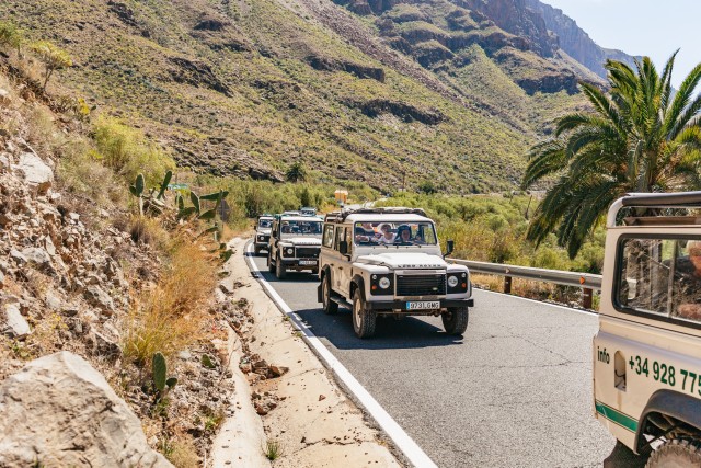 Visit South Gran Canaria Off-Road Valleys & Villages Jeep Tour in Puerto de Mogán