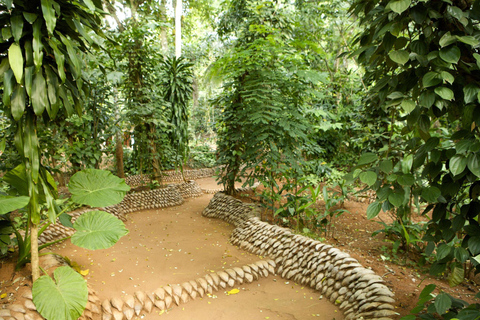 Bandaranaike Airport to Sigiriya Transfer with Highlights