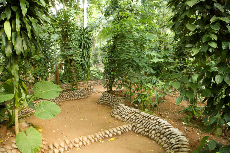 Bandaranaike Airport to Sigiriya Transfer with Highlights