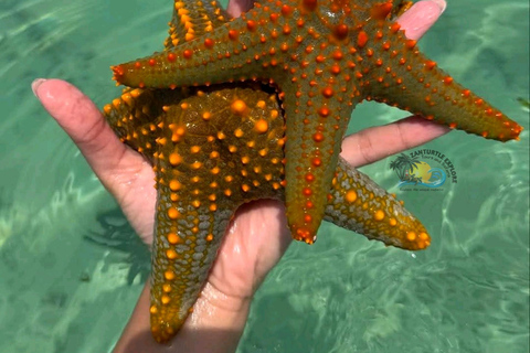 Zanzibar: Jambiani Lagoon Snorkeling & Ngalawa Sailing Tour Hotel Transfers within Southern zone.