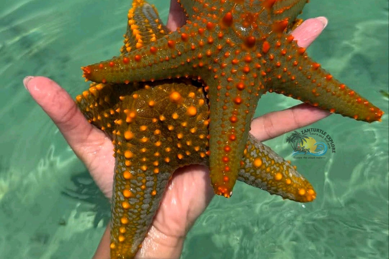 Zanzibar: Jambiani Lagoon Snorkeling & Ngalawa Sailing Tour Hotel Transfers within Southern zone.