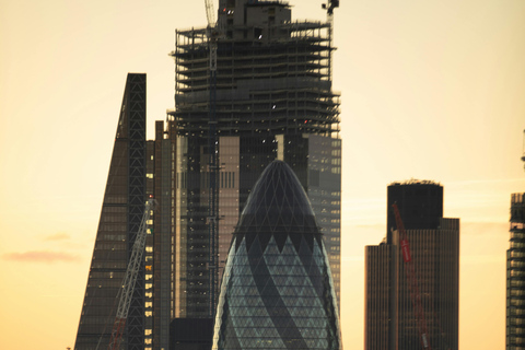 London: Premium 20+ Sights Tour with Expert Local Guide