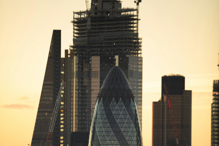 London: Premium 20+ Sights Tour with Expert Local Guide