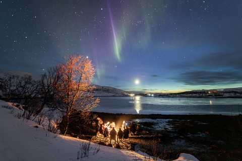 Tromsø: Northern Lights Hunt with Photos and Hot Food