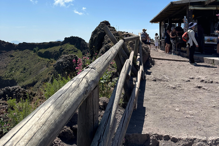 Monte Vesúvio saindo de Nápoles: Ônibus, ingresso e guia de áudio