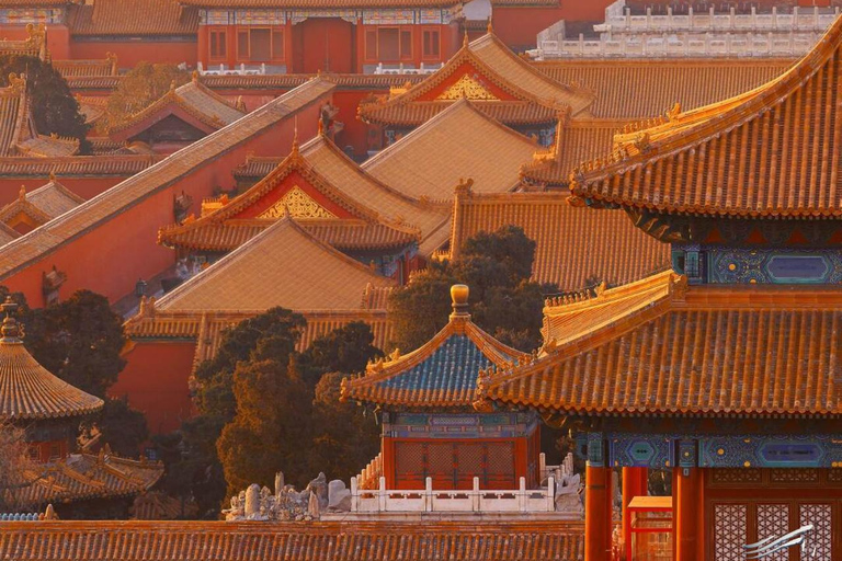 Pekín: Paseo por los hutongs y safari de cerveza artesanal