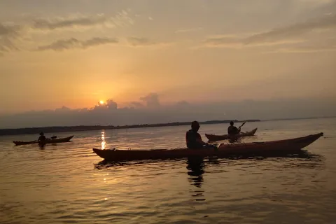 Guidet kajaksejlads på Roskilde Fjord: Tur ved solnedgang