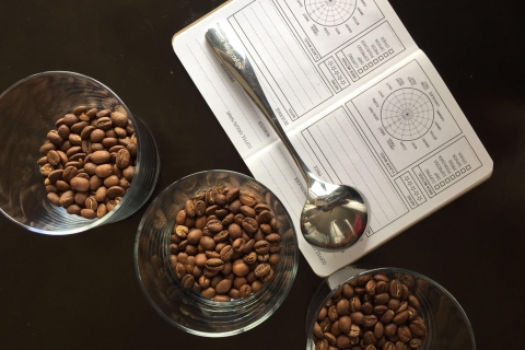 Bogotá: Erfahrungen mit einem KaffeewettbewerbBogotá: Experiencia de una competencia de café