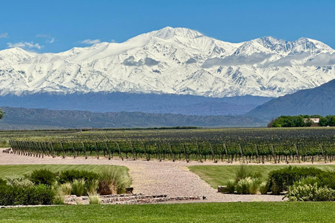 Mendoza in a day, guided tour, olive grove, winery, mountain, San Martin park