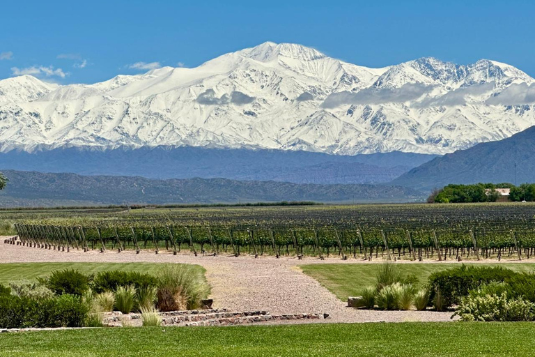 Mendoza in a day, guided tour, olive grove, winery, mountain, San Martin park