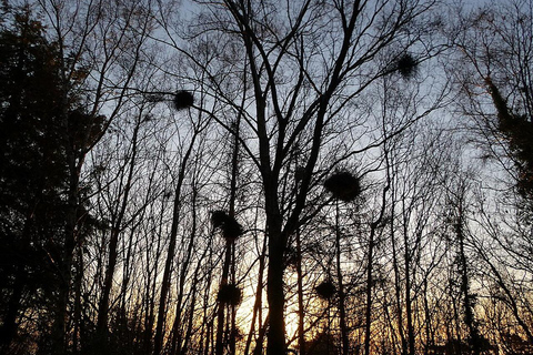 Belfast from Above: Sunrise or Afternoon Hike Option 1: Sunrise Hike