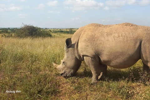 BUDGETRUNDTUR I NAIROBIS NATIONALPARK KL. 06.00