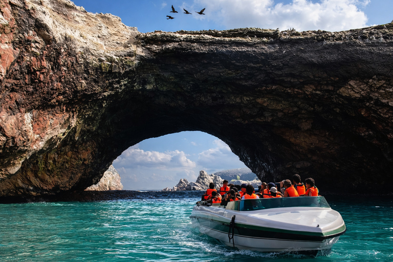 From Lima: Paracas, Huacachina & Ballestas Day Trip