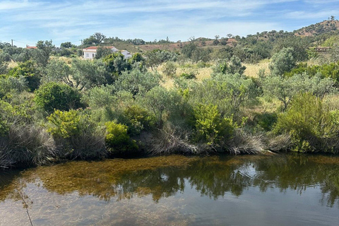 Desde Albufeira: Excursión de medio día en jeep por el campo