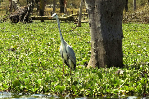 Nairobi: Crescent Island Sanctuary Day Trip with Lunch Nairobi: Crescent Island Sanctuary private day Trip