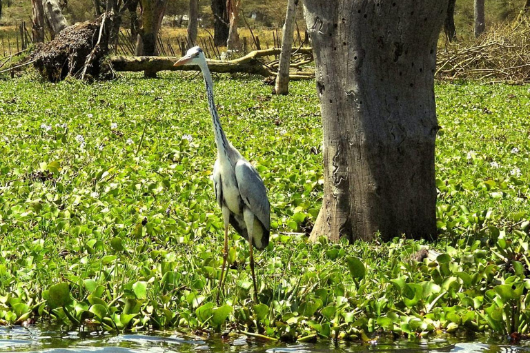Nairobi: Crescent Island Sanctuary Day Trip with Lunch Nairobi: Crescent Island Sanctuary private day Trip