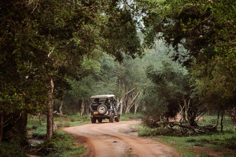 Parc national de Wilpattu : Safari privé (12 heures)