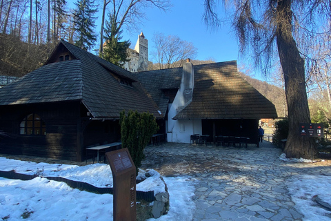 From Brașov: Bran Castle, Bear Sanctuary, & Poiana Brașov