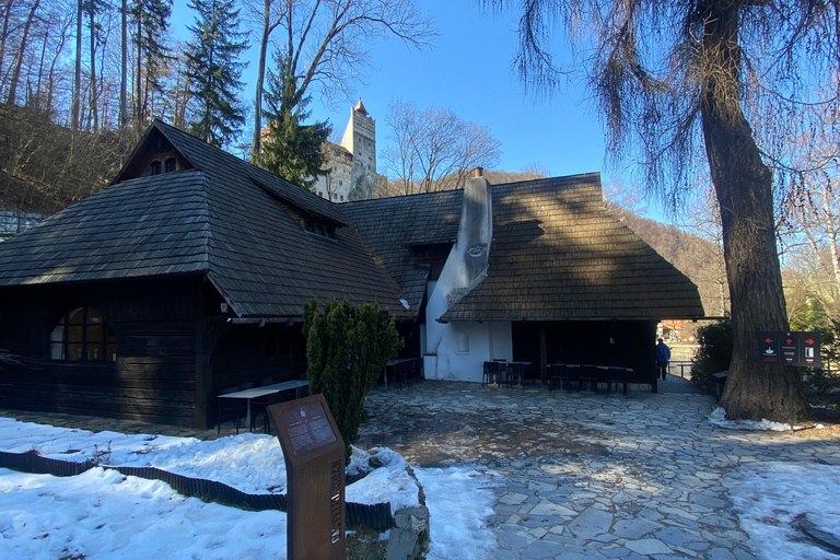 From Brașov: Bran Castle, Bear Sanctuary, & Poiana Brașov