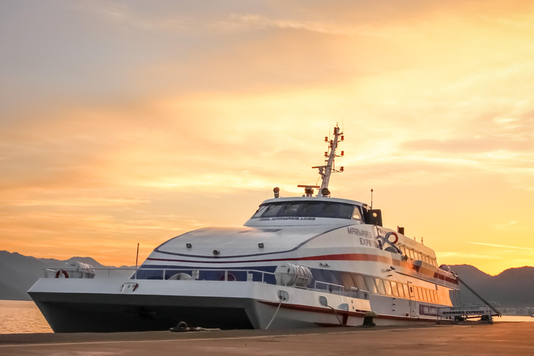 Marmaris: Rhodes Day Trip by High-Speed Ferry with Transfers