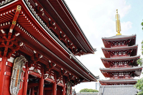 Tour de la ciudad de Tokio con conductor de habla inglesa.