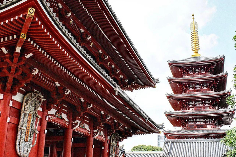 Tour della città di Tokyo con autista parlante inglese.