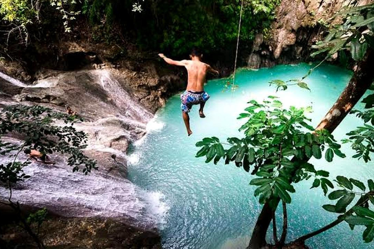 Bohol: Waterfall Hopping and Jungle Trek Adventure