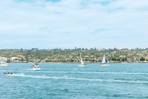 San Diego : Croisière d'observation des baleines et des dauphins