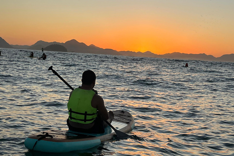 Rio de Janeiro: Copacabana Sunrise SUP Tour with Photos