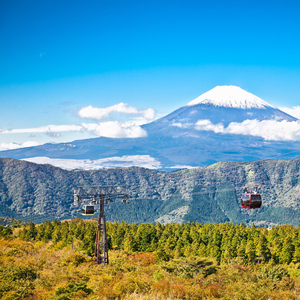 From Tokyo: Mt. Fuji & Hakone Tour w/ Return by Bullet Train