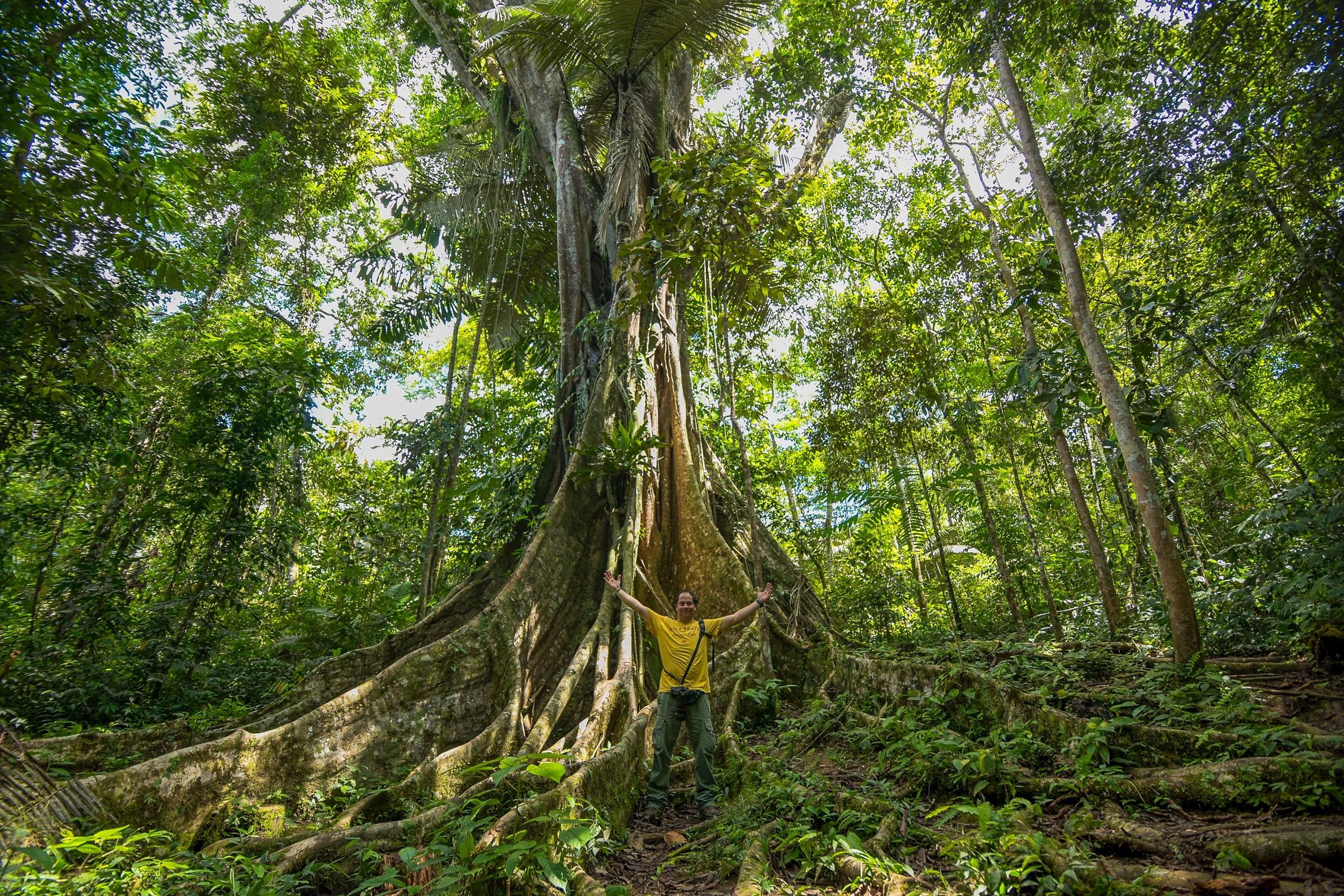 Von Iquitos: Tagestour zum Pacaya-Samiria-Nationalreservat