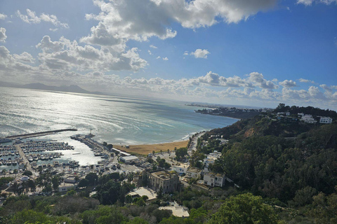 Excursión de un día a Cartago y Sidi Bou Said